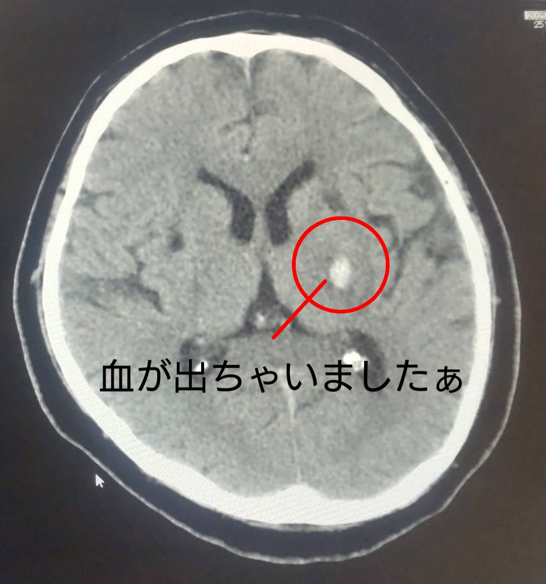 sketch-1764716726745