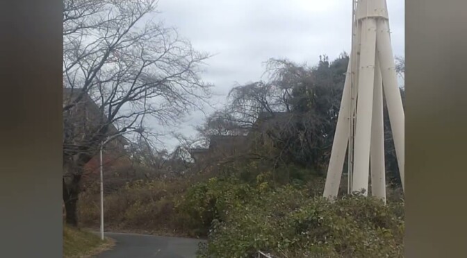 脳卒中（脳出血）やっちゃいましたぁ　【発症から63日目（9週） ついに屋外を歩く！！】