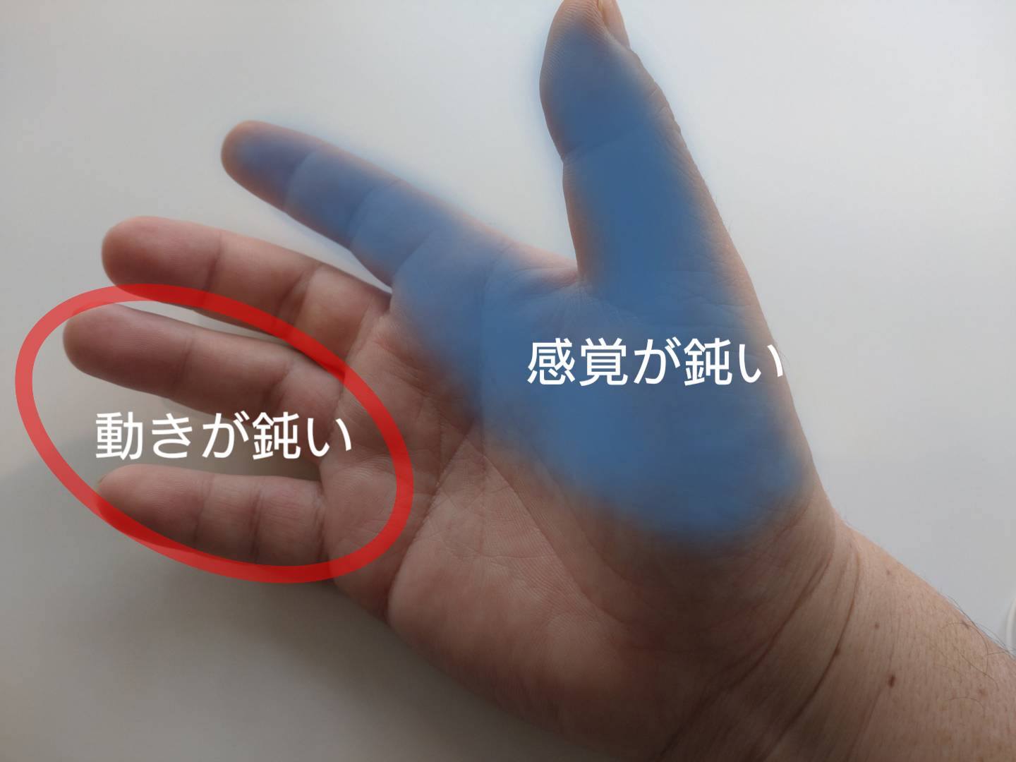 641623272_3552940888177264_1493154886342380587_n